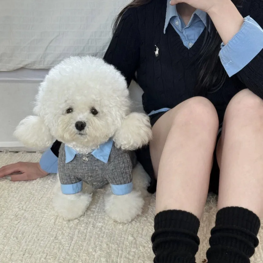 

Korean Designers Have Created A Trendy Grey Twisted Blue Shirt Design For Pet Sweaters Suitable For Puppies And Kittens