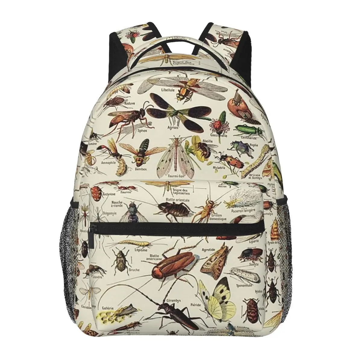 Insects Chart. Scientific Illustration, Text In French Backpacks Boys Girls Bookbag Children Bags Laptop Rucksack Shoulder Bag