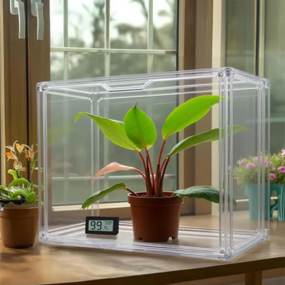 Stackable Greenhouse Display Rack with Magnetic Closure for Small Plants Enables Flexible Layouts in Minimal Footprint Areas