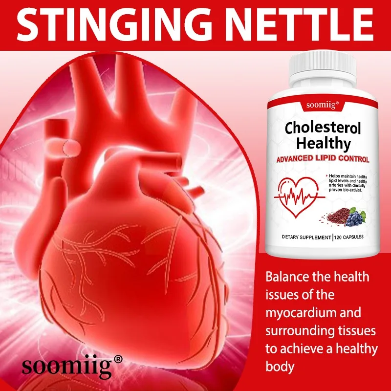 콜레스테롤 건강 보충제, LDL 및 트리글리시드 감소, 건강한 콜레스테롤 수준 지원, 천연 심장 건강 캡슐