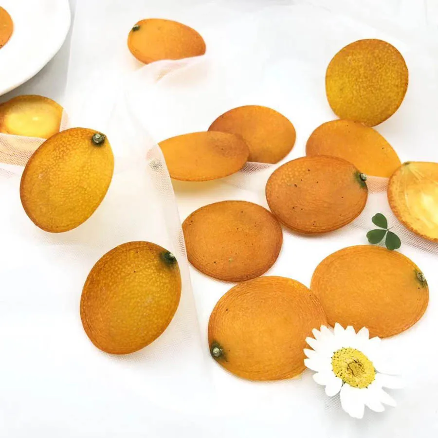 10pcs Dried Pressed 2-3cm Kumquat Peel Slices Fruit Plant Herbarium For Jewelry Photo Frame Phone Case Bookmark Postcard DIY