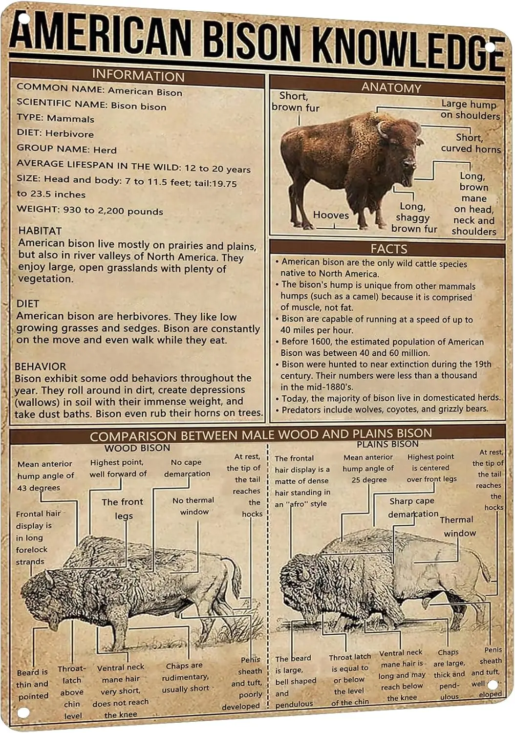 1pcs  American Bison Knowledge Metal Sign - Vintage Farmhouse Decor Tin Poster, Retro Home  Kitchen Classroom Wall Art, Ed