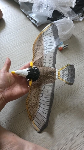 리뷰 사진