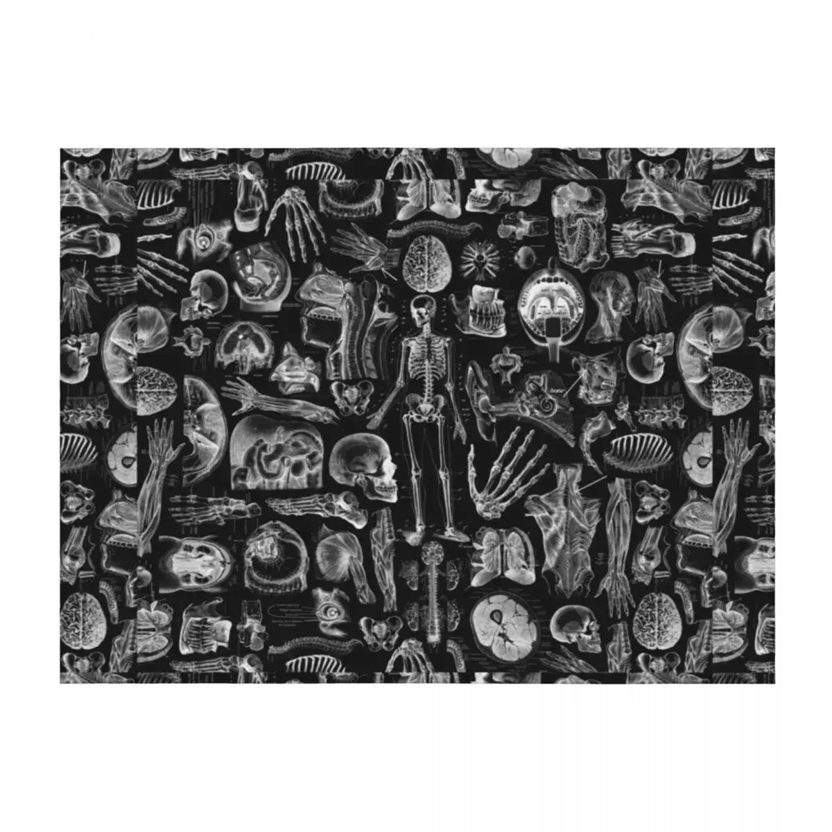 

Human Anatomy Black Print Throw Blanket Luxury Thicken funny gift cosplay anime warm for winter Blankets