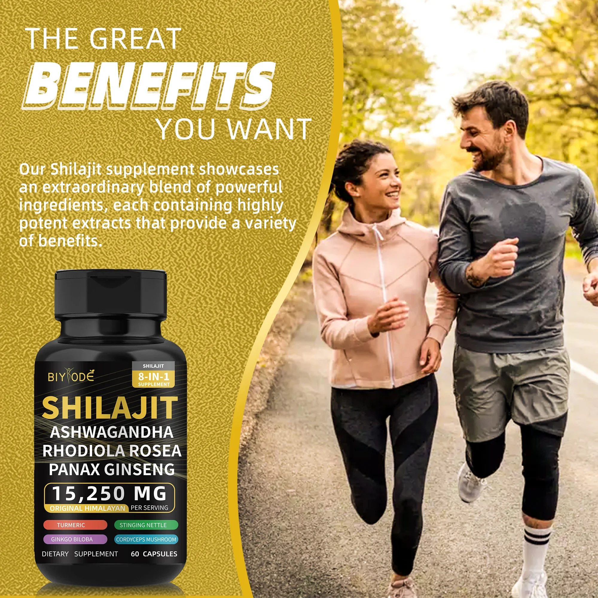 Shilajit, Ashwagandha, Rhodiola Rosea, Panax Ginseng, Cordyceps Mushroom Supplements for Health, Energy & Endurance, Muscle Mass