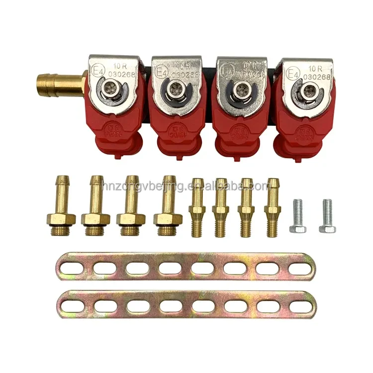 Cng Gas Rail Injector Sequential Injection Repair Common Injector Lpg Kit Injector Rail 4cyl Cng Fuel 2ohm 3ohm for Auto Parts