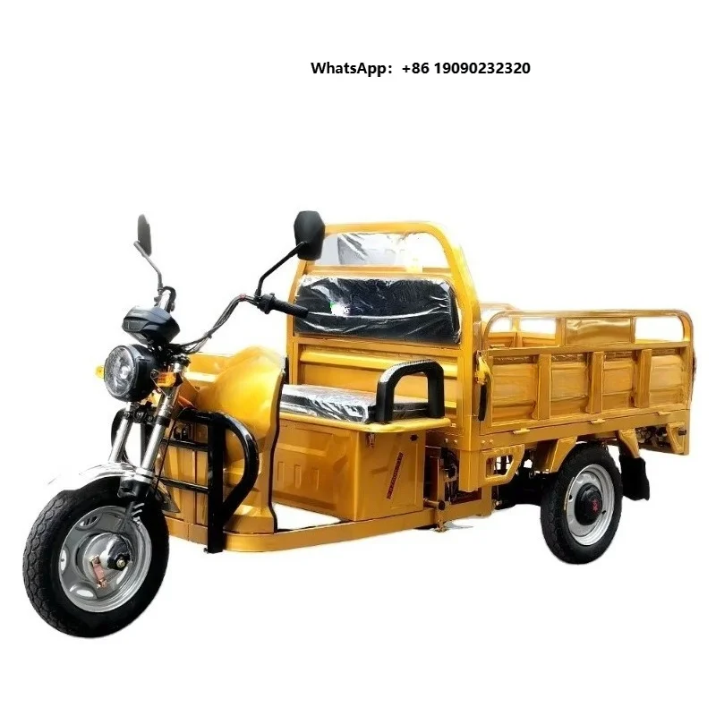 Cheap Adults 3 Wheel Electric Tricycle Price Shipping China Max Body Customized Motor Power Battery Color Brake Origin T001