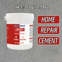 Cement Repair Paste - Home Wall Crack Filler for Indoor & Outdoor Use, Waterproof & Durable Multi-Purpose Repair