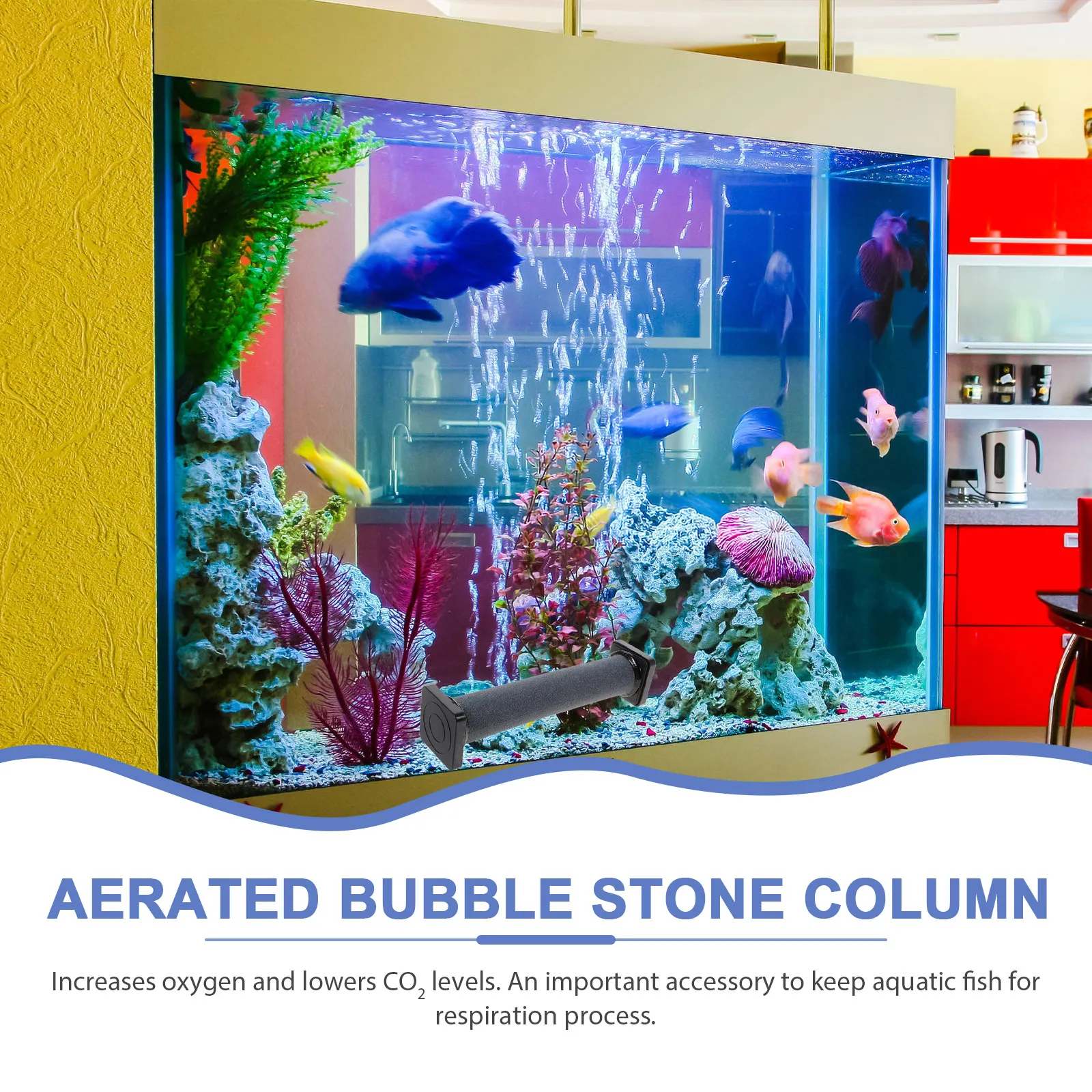

Stone Diffuser For Aquarium Pond Fish Tank Enhances Oxygen Reduces Co2 Abundant Tiny Bubbles Accessory