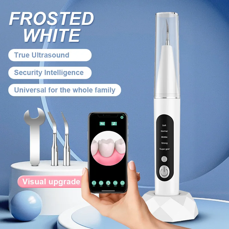 Electric Visual Ultrasonic Tooth Cleaner With Camera Dental Scaler Calculus Remover Irrigator Teeth Whitening Tartar Eliminator