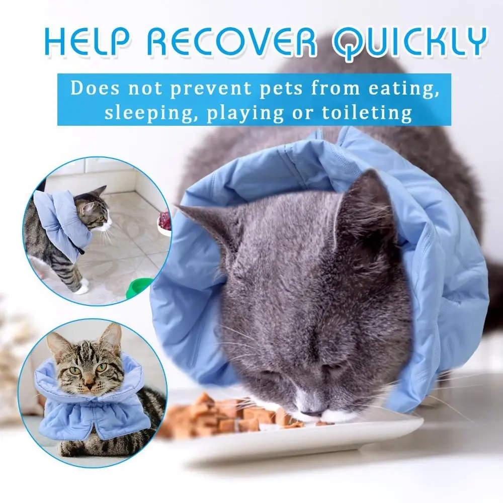 لطيف الحيوانات الأليفة طوق الرقبة واقية مريحة القط الإليزابيثية طوق قابل للتعديل الحيوانات الأليفة الملحقات E مخروط طوق الحيوانات الأليفة بعد الجراحة