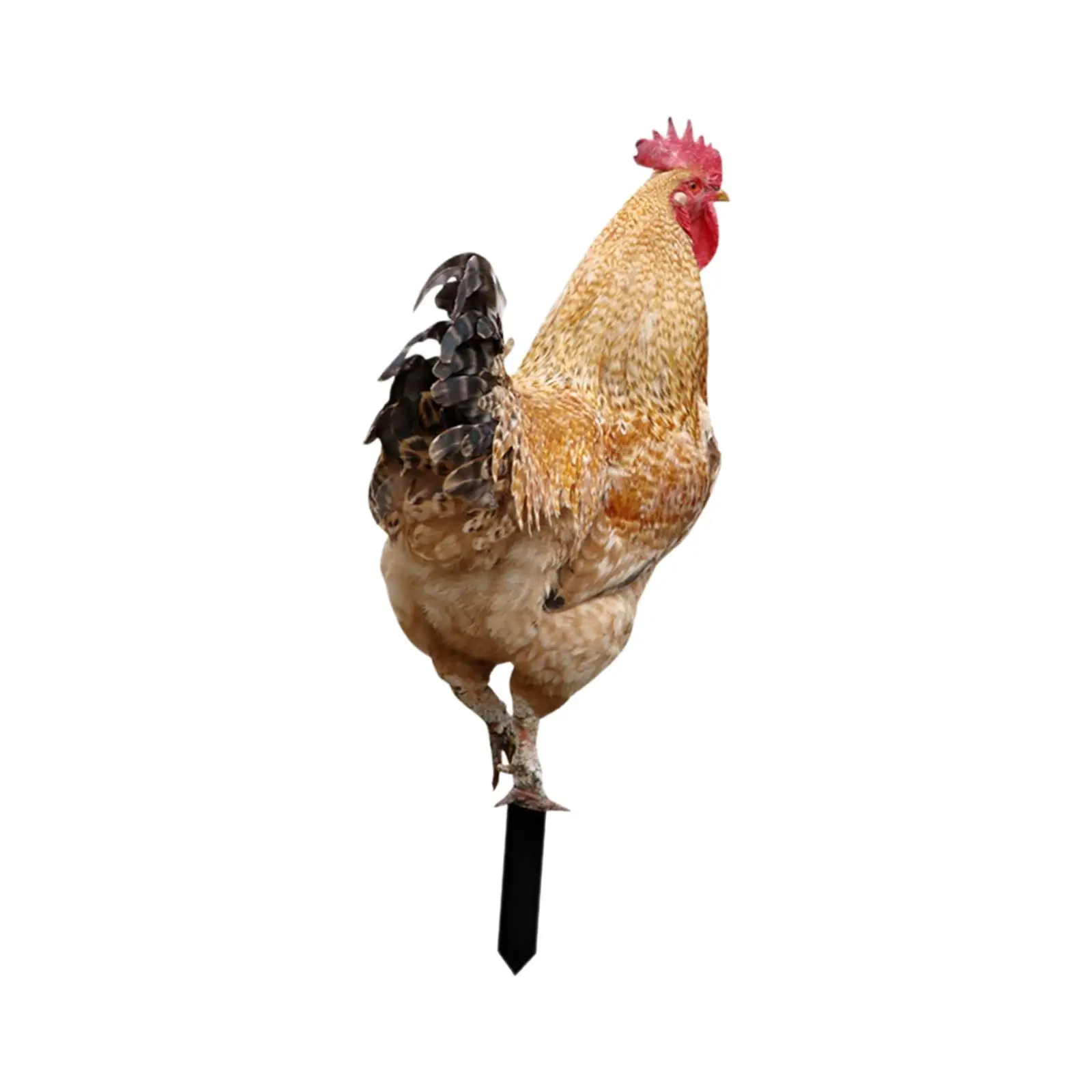 Chicken Animal Statue Stakes Chicken Sculpture ,Acrylic Lifelike
