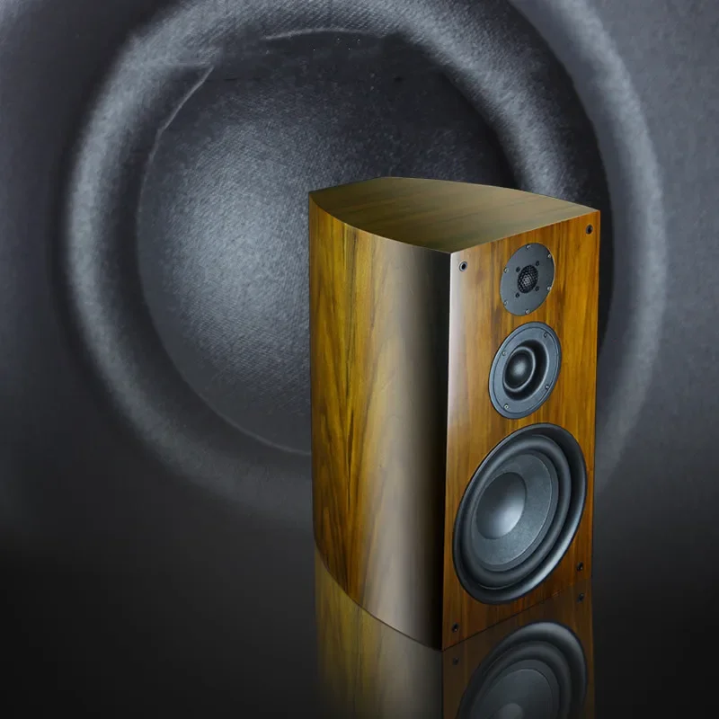 DHY-03 HiFi Bookshelf 10 Inch Speakers A Pair Of Home Floor Audio 10 Inch Woofer Passive Three-way