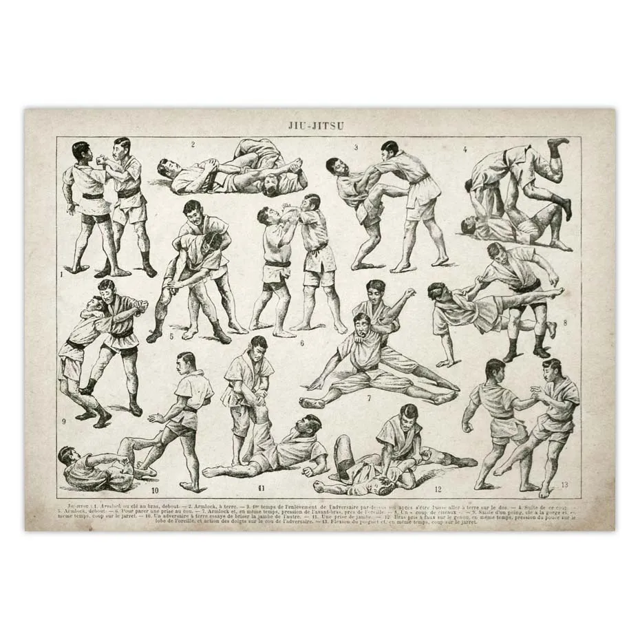 Boxing Wrestling Fencing Fighting Technique Chart Vintage Unframed Print Art Canvas Poster Living Room Decor Home Wall Picture