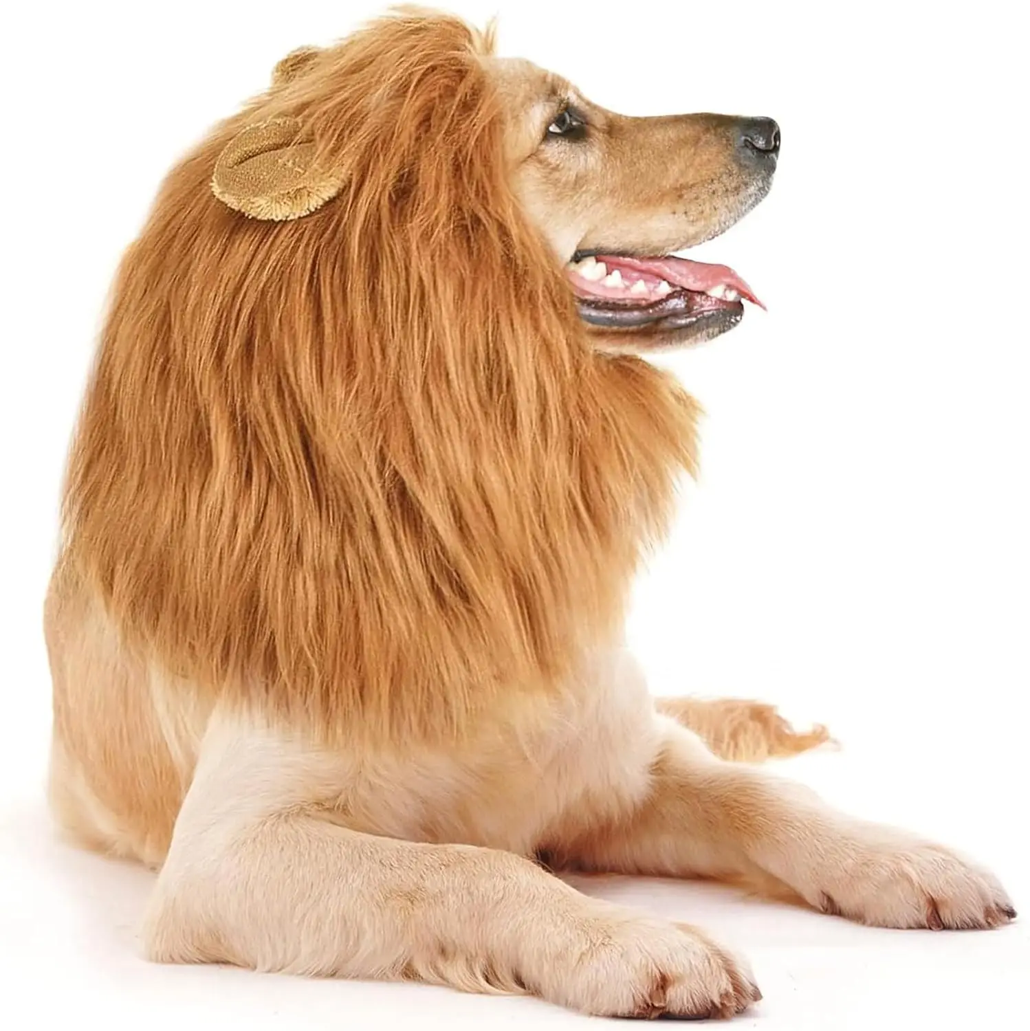 Halloween Accessories Pet Lion Head Wig Cosplay Dog Head Set Everyday Party Pet Supplies Creative Funny Dog Hair