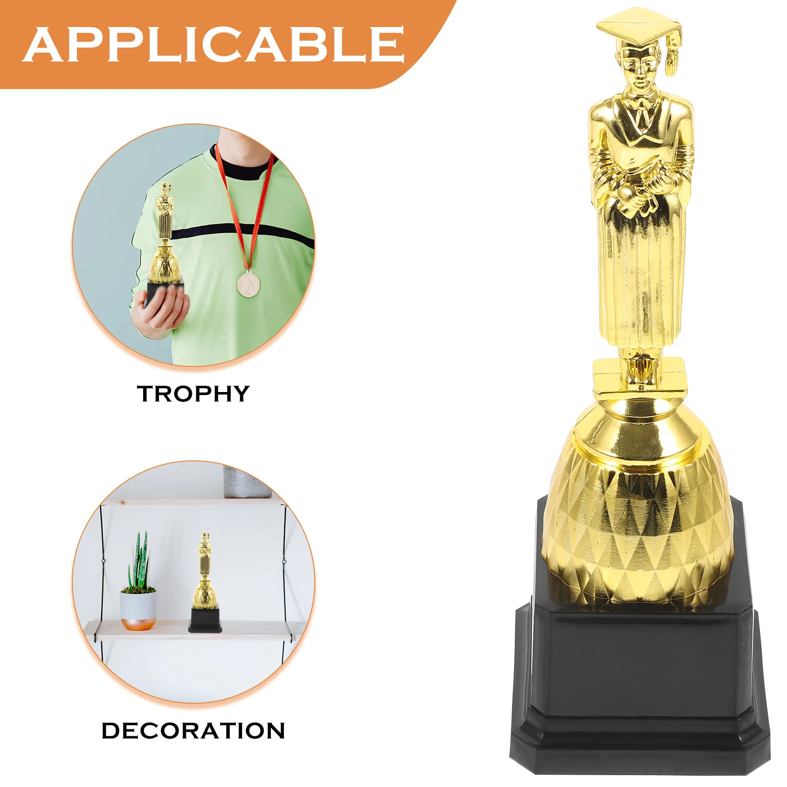 Рисунок 2 - Доктор Выпускной Трофей Маленький