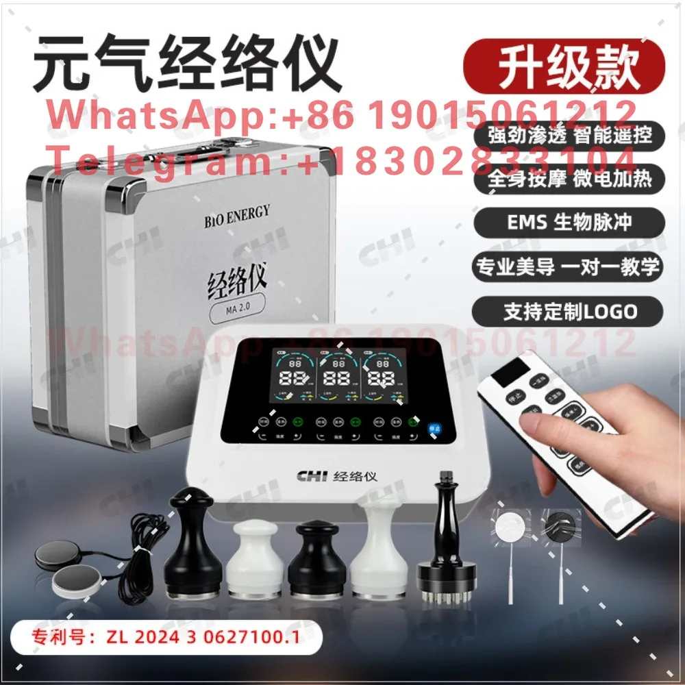 Evergreen China BIO Yuanqi Plant Meridian Device Dual-Volume CHI Yuanqi Value Electrotherapy Meridian Unblocking Device