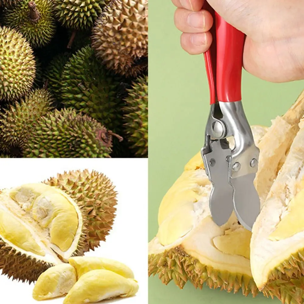Edelstahl Durian Öffner Clip rostfreie Zange langlebiges Durian Peel Breaking Tool für Restaurant