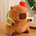 DB turtle apple