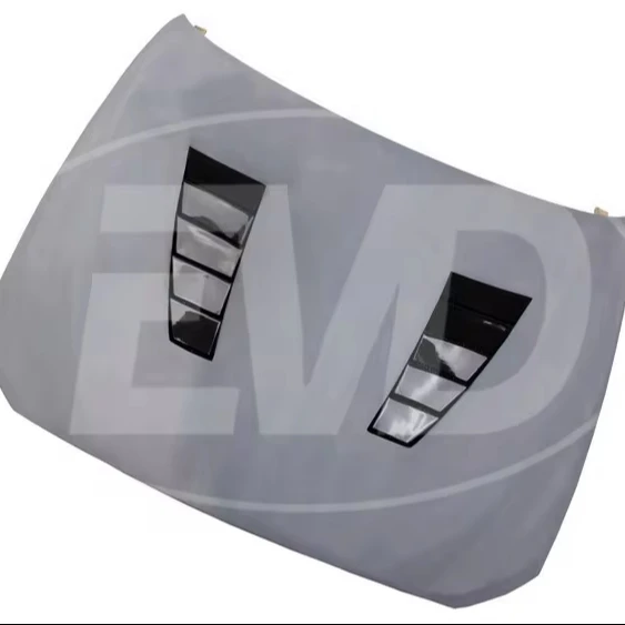 

DTM STYLE HALF CARBON FIBER HOOD for 2010-2016 BMW 5 SERIES F10 F18