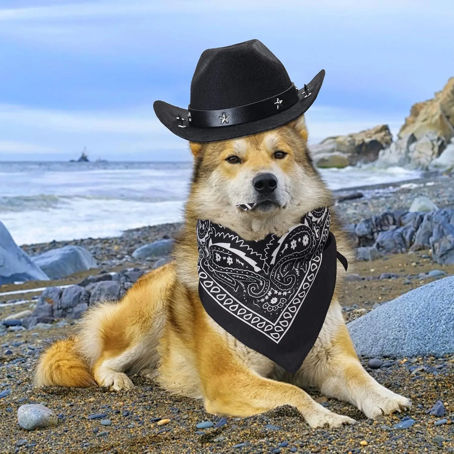 1 Set Cowboyhut und Bandana-Schal für Hunde und Katzen, Haustiergröße, West-Zubehör für Katzen, Hunde, Partys, Festivals, tägliches Tragen – Detail 14