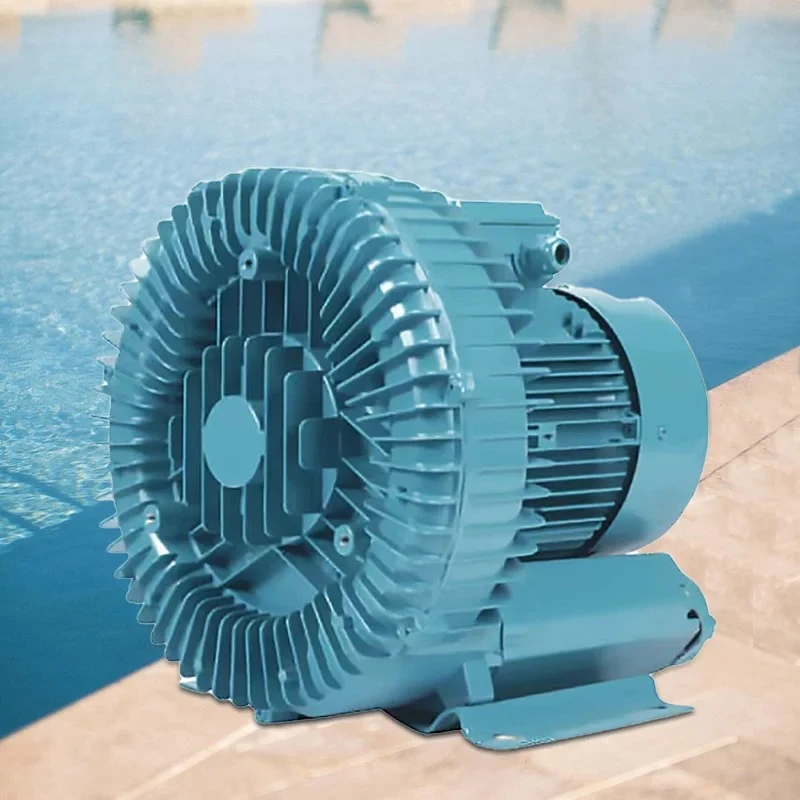 SPA and Swimming Pool Cleaner Essential 220v Filters Air Blower Vacuum Pump Pool Sand Filter