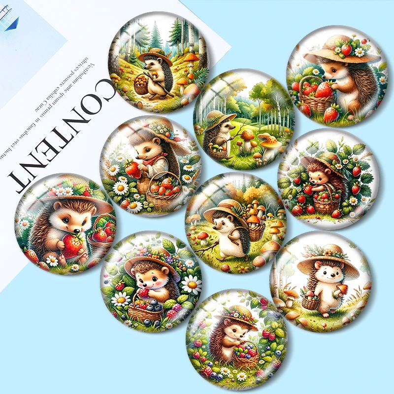 Hedgehog In The Forest  12/18/20/25mm glass cabochon  bracelet pendant rings for jewelry demo earrings back Making findings