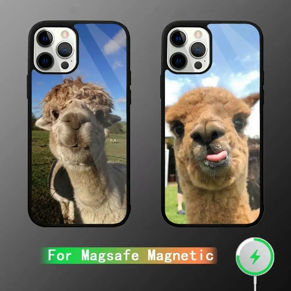 

Lama Llama Alpaca Phone Case For iPhone 17,16,15,14,13,12,11,Pro,Max,Plus,Mini,SE4,E Magnetic Magsafe Wireless Charging