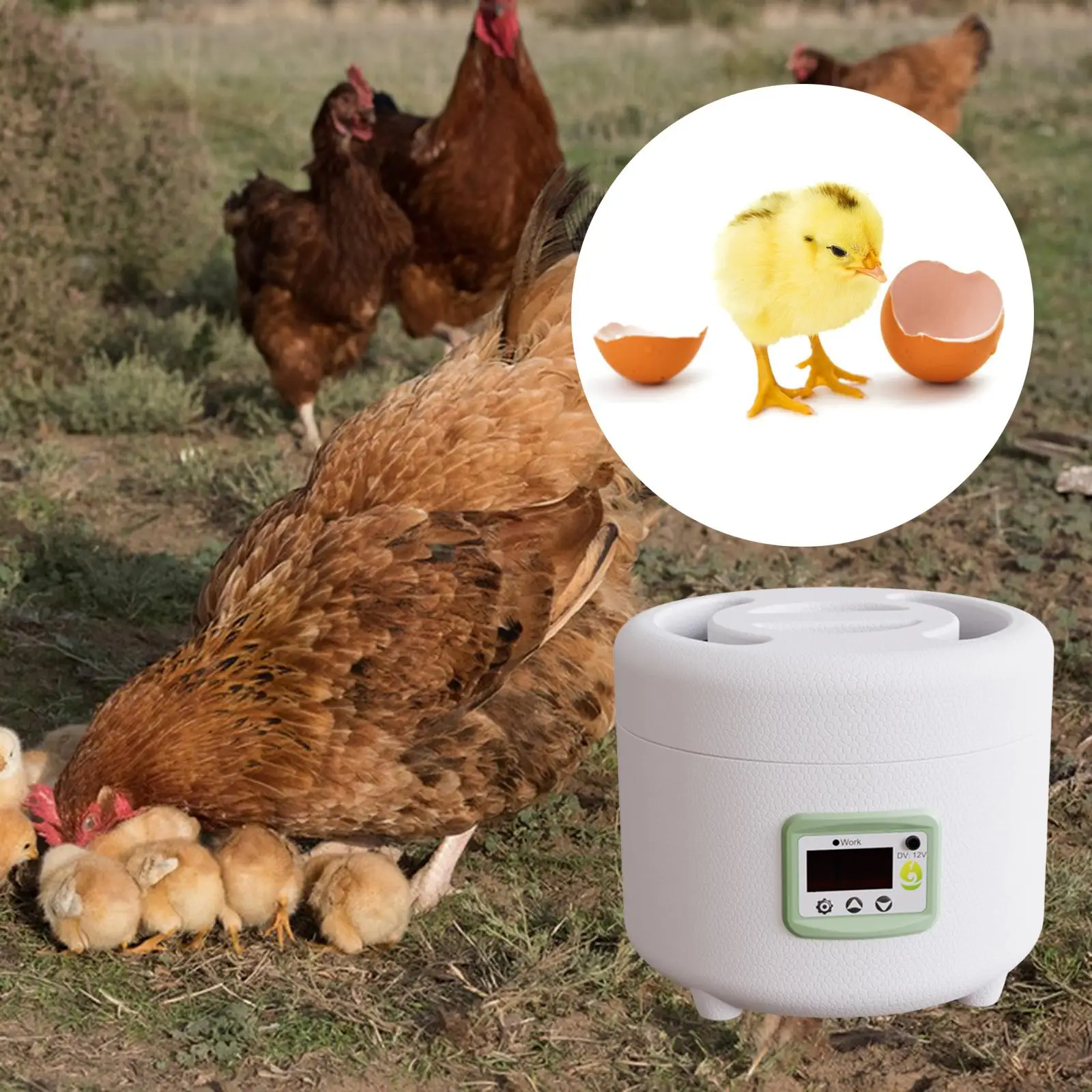 Multipurpose 9 Eggs Incubator Temperature Control Electric Poultry Hatcher for Quail