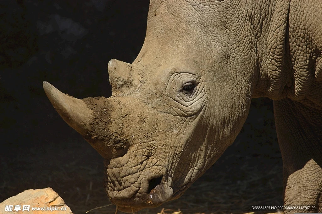 

Колеса и шины Beadlock 1.3 для радиоуправляемых краулеров 1/18 TRX4M FCX18, 1/24 SCX24 FCX24, колеса и шины для радиоуправляемых грузовиков