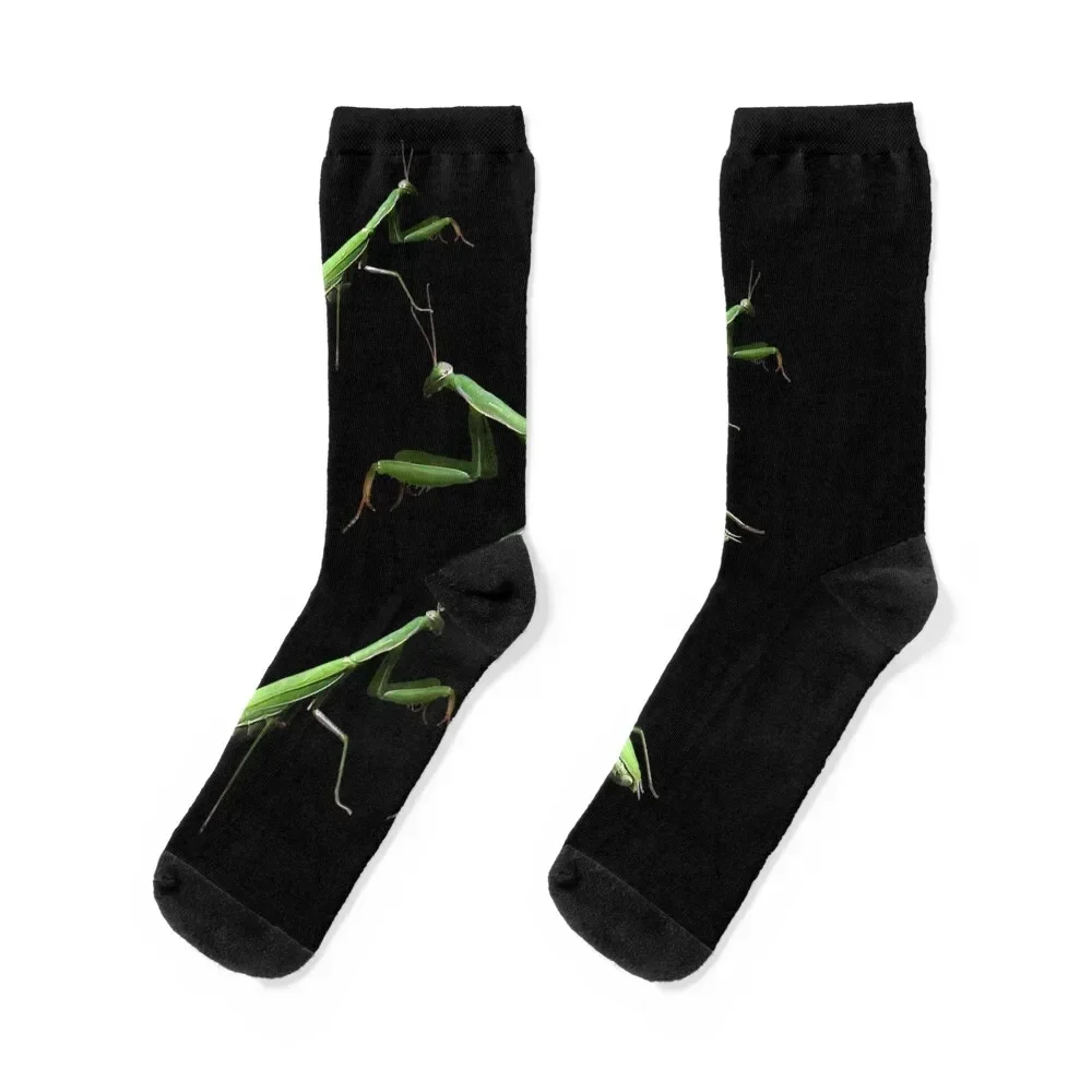 

Praying Mantis Bug Insect Entomology Socks custom retro New year's summer Ladies Socks Men's