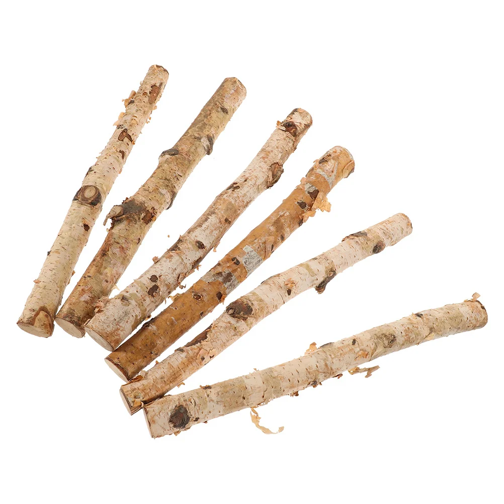 

6Pcs Natural White Birch Wood Sticks Rustic Twigs for DIY Crafts Floral Arrangements Vase Decoration Wood Twigs