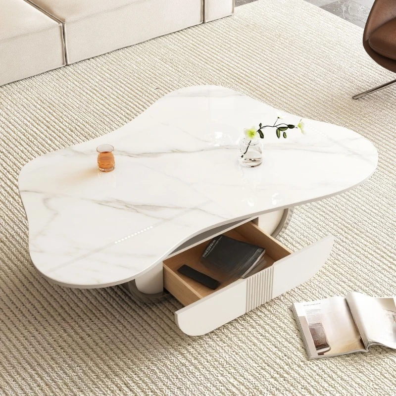 Modern Butterfly Coffee Table Sintered Stone Tabletop Oval Storage Rack