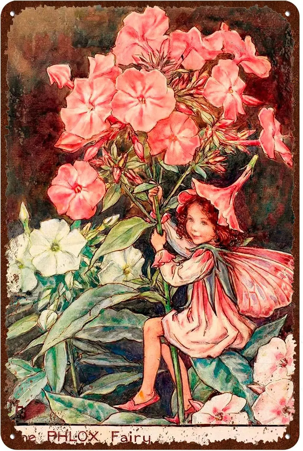 Flower Fairy Signs Vintage Metel Tin Signs Novelty Garden Signs Retro Wall Decor Home Wall Signs The Phlox Fairy 8x12 Inch