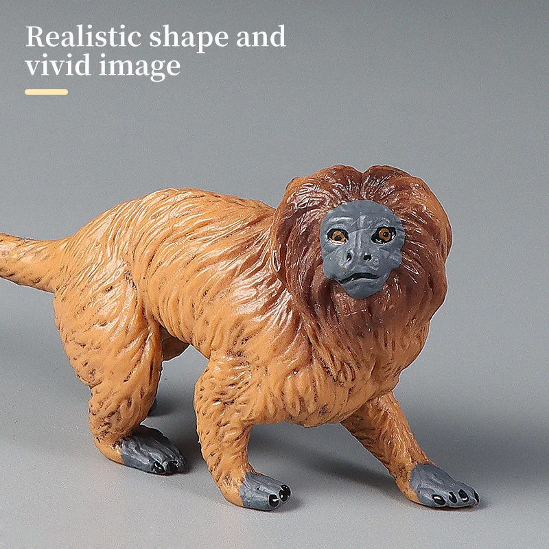 مجموعة شخصيات محاكاة القرد الذهبي شان كوي للحيوانات البرية - لعبة نموذجية صلبة لتزيين هدية للأطفال
