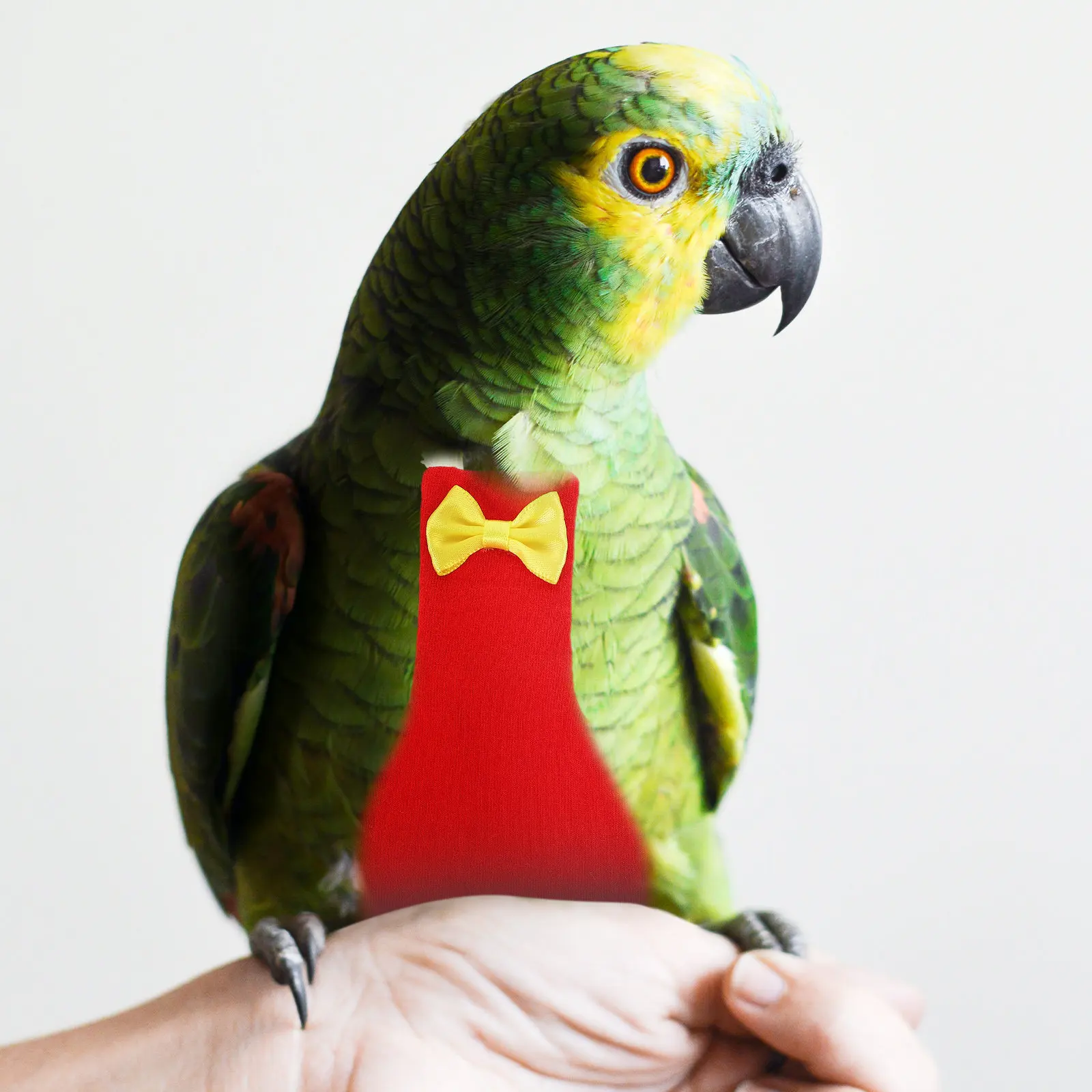 Bird Diaper Flight Suit Parakeet Pigeon Soft Cotton Adjustable Buckle Reusable Small Bird Clothing Protector Bow Design