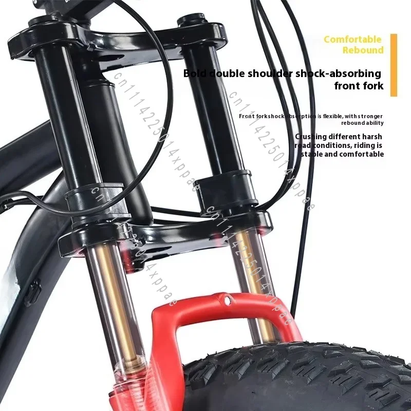 Variable Speed Double Shock Absorption Wide Thick Beach Off-Road Adult Male Female Fatty Mountain Bike Big Tire