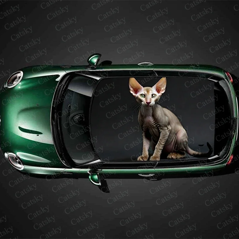 

Sphynx Cat Car Roof Sticker Wrap Racing SUV Accessories Packaging Painted PVC Custom Car Graphic Decal