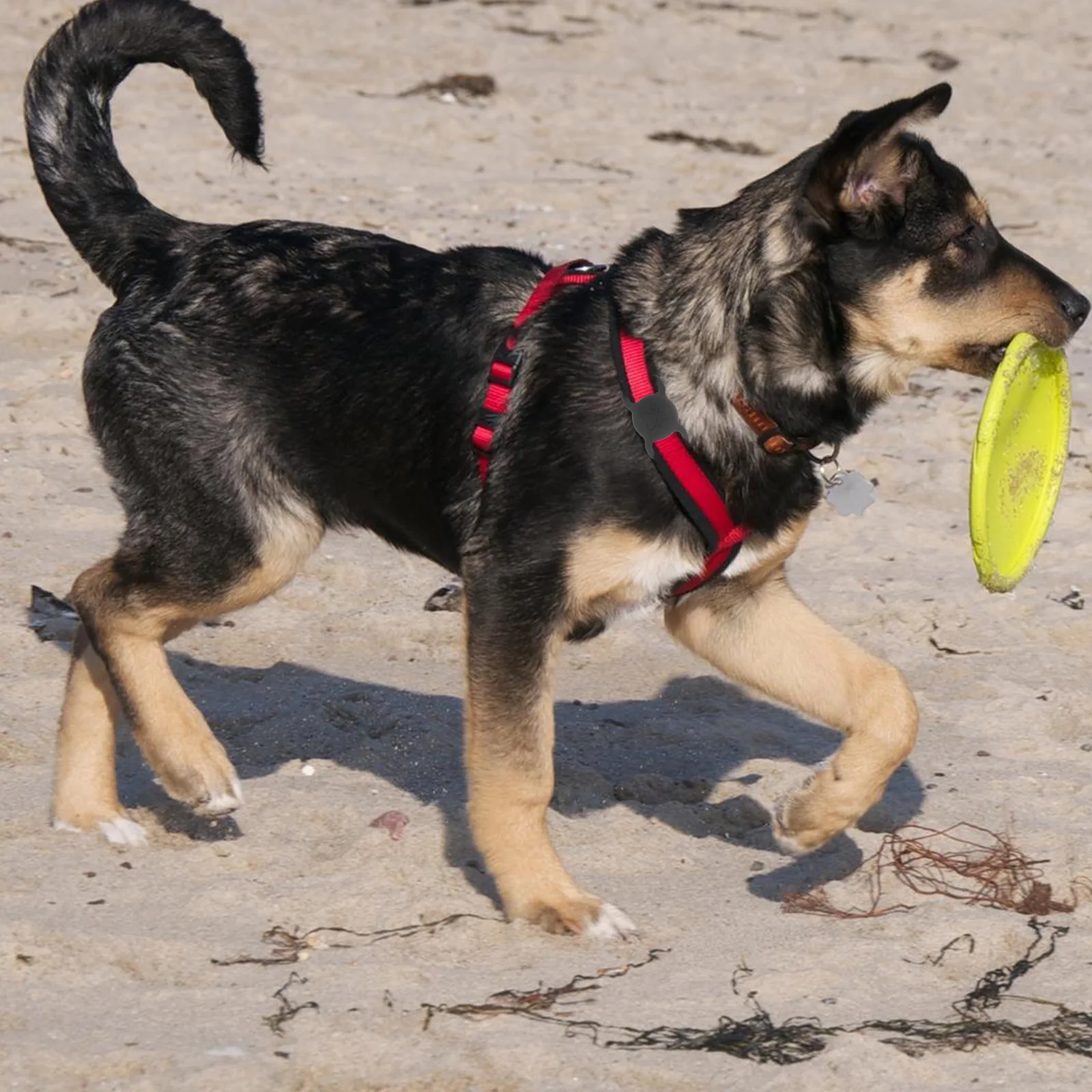 

Shockproof Silicone Protective Case Pet Locator Lightweight Locator Cover Anti-Lost Tracer Sleeve Soft Cover Compatible with