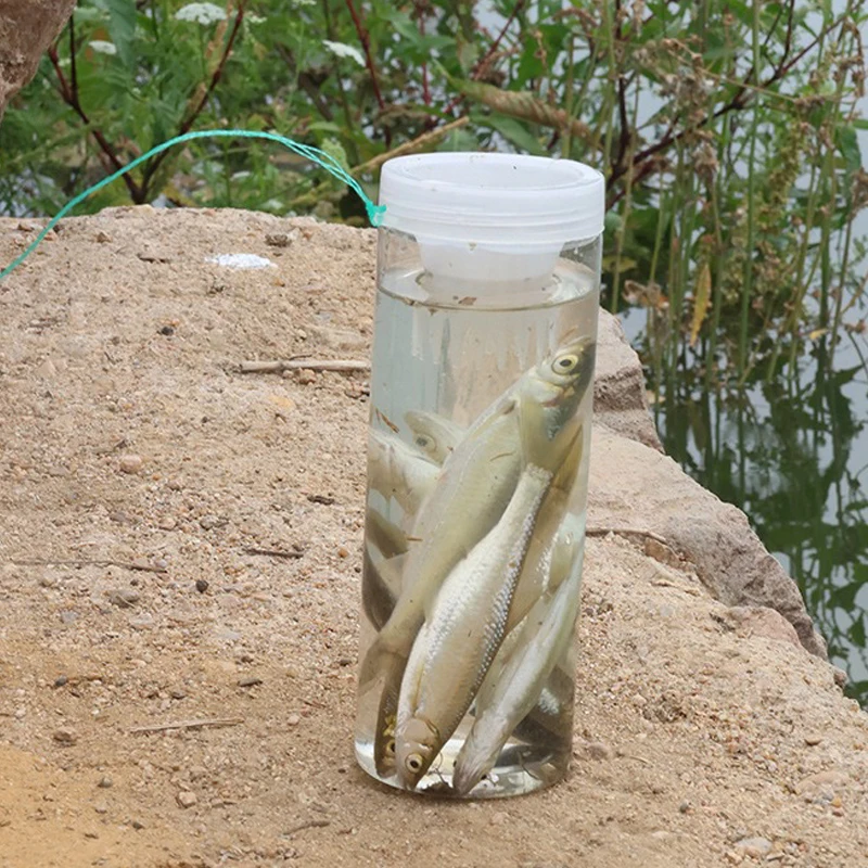 جديد الصيد الفخاخ شبكة قفص PP البلاستيك جراد البحر الماسك كراب الأسماك قفص فخ زجاجة صب الصيد شبكة الروبيان صافي Pesca معالجة