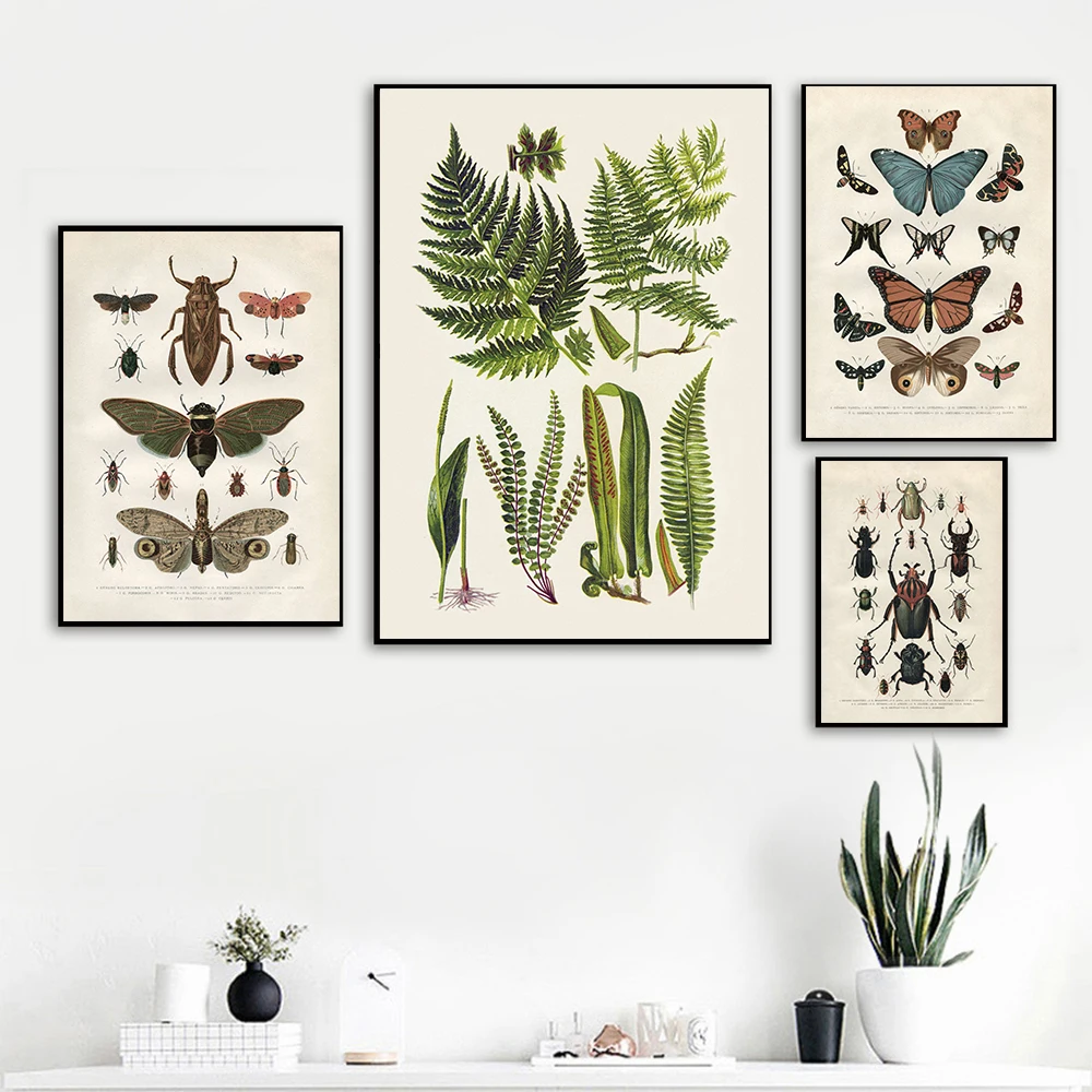 Butterflies Vintage Poster And Print Insect Antique Illustration Wall Art Canvas Painting Picture for Living Room Home Decor