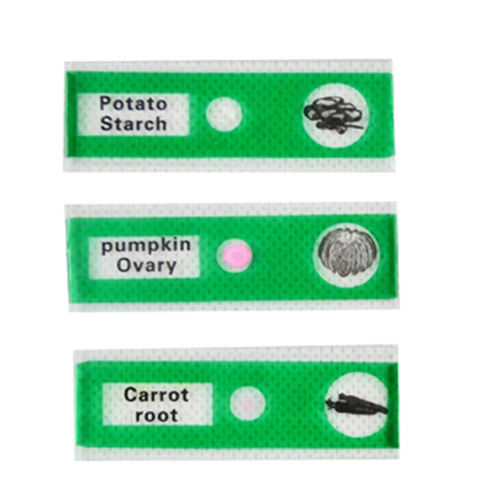 Lames de Microscope en plastique, 12 pièces, spécimen biologique préparé, étiquettes colorées pour l'éducation des étudiants, l'entomologie à domicile des enfants