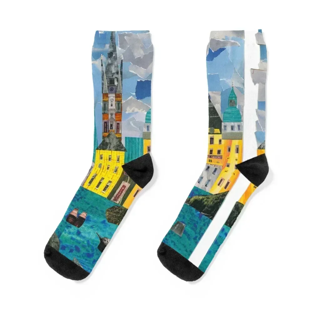 

The Rooftops of Stockholm Socks Climbing man cotton Woman Socks Men's