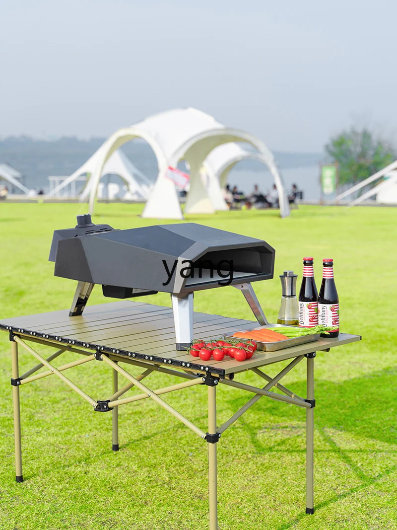 CX Outdoor Pizza Oven Charcoal Firewood Particle Gas Oven Stall Commercial Use