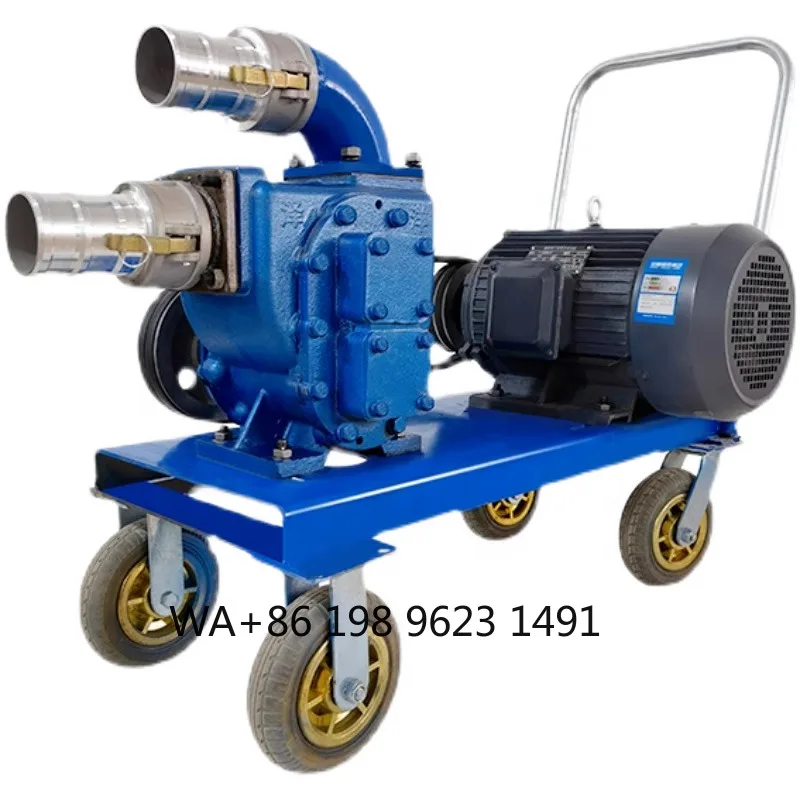 

Automatic Vacuum Sewage Pump for Breeding Farm Septic Tank Slurry Excrement Pump