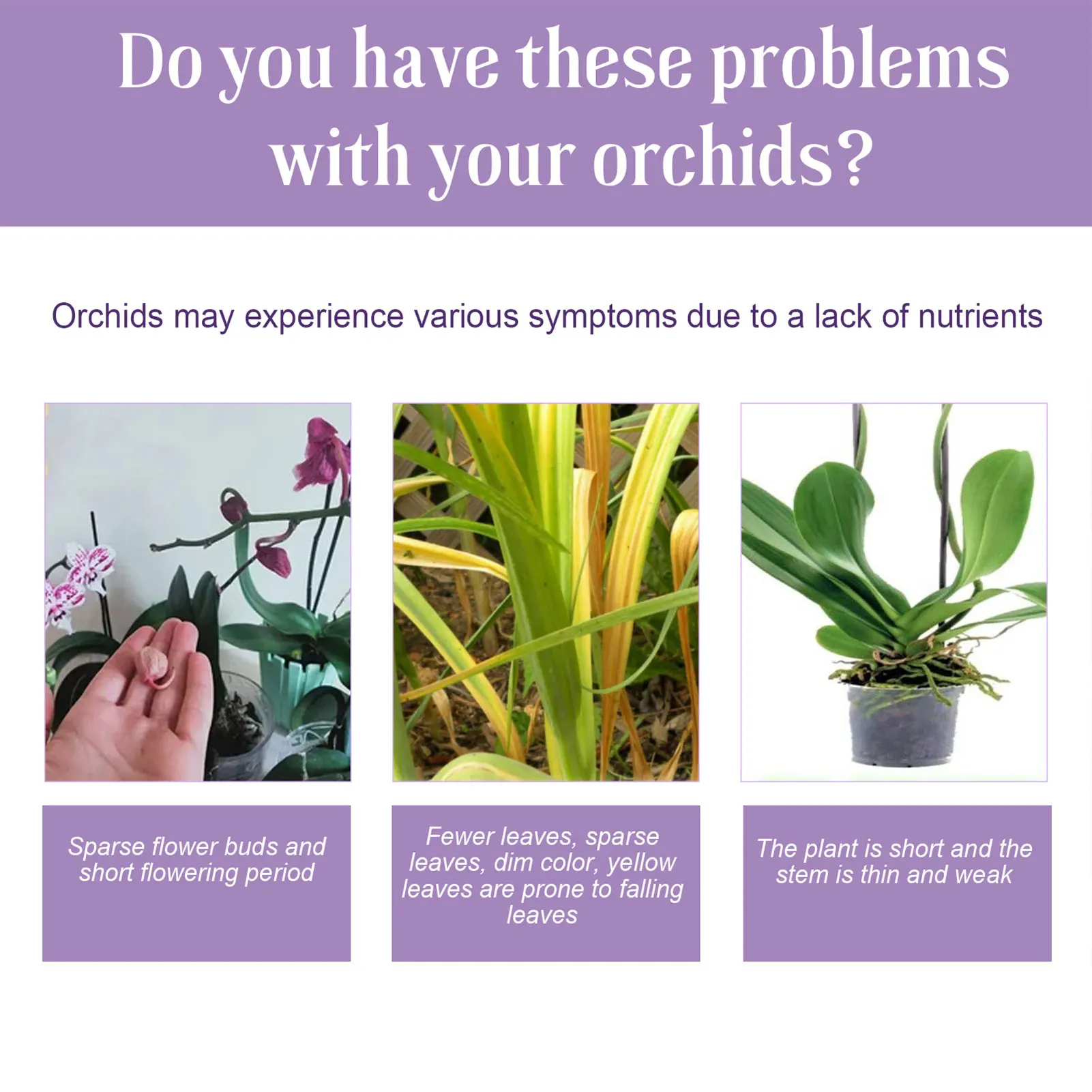 Orchid Growth Nutrient Fertilizer Promotes Rooting Development Solution for Plants Better Growth