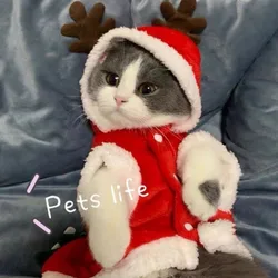 Cat clothing autumn and winter clothing Christmas plush dog teddy bear small dog VIP puppy pet puppy cotton coat