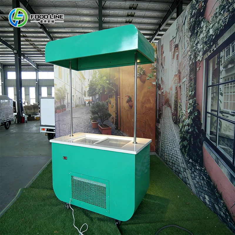 

Customized Ice Cream Tricycle Stylish Designed Mobile Freezer Cart for Commercial Street Vending and Outdoor Events