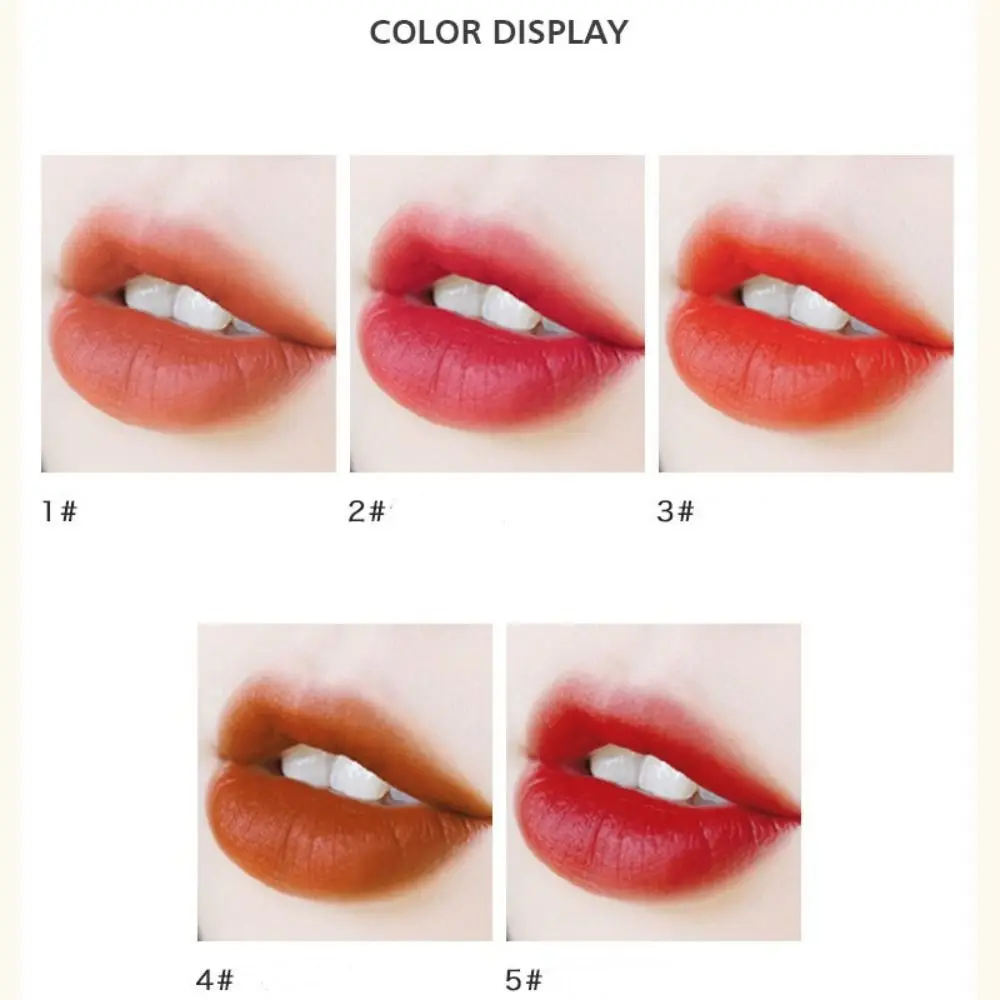 5pcs Natural Makeup Set Mini Lipstick Set Waterproof Non-stick Cup Matte Lipstick Soft Mist Long Lasting Velvet Lip Gloss Women