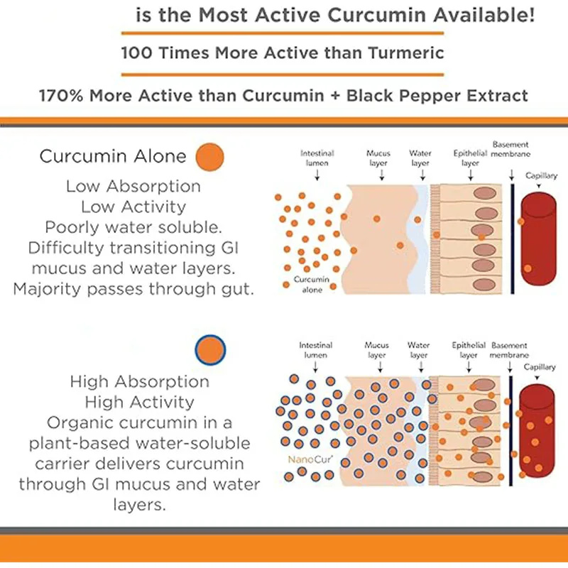 Curcumin -100 Times More Active Than Turmeric, 170% More Active Than Curcumin+black Pepper Extract